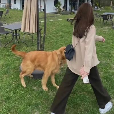 禁欲者
